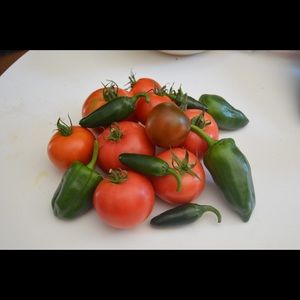 Meet your Posher, Kerry